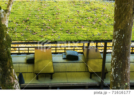 高雄の紅葉と茶屋 71616177