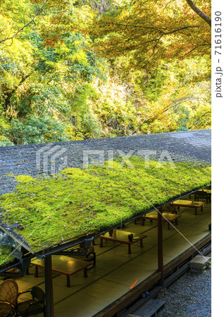 高雄の紅葉と茶屋 高雄の紅葉と茶屋 71616190