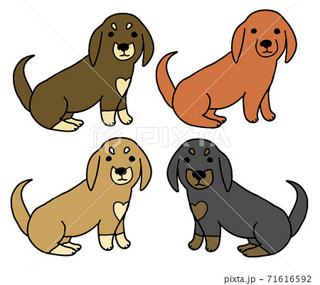 4色のミニチュアダックスフンドのイラスト素材