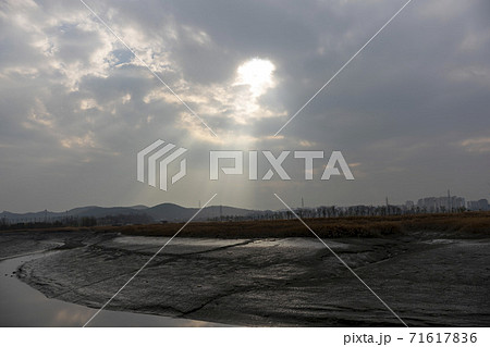 風景 公園 冬 71617836