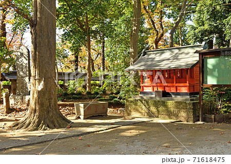 大谷場氷川神社 　埼玉県さいたま市 71618475