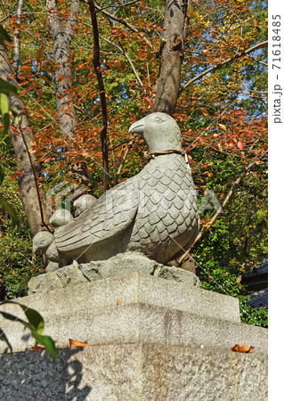 大谷場氷川神社 ・狛雉　　埼玉県さいたま市 71618485