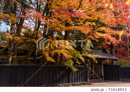 みちのくの小京都　角館武家屋敷の紅葉 71618653