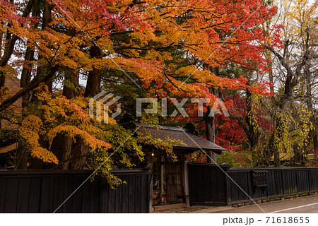 みちのくの小京都 角館武家屋敷の紅葉 みちのくの小京都 角館武家屋敷の紅葉 71618655