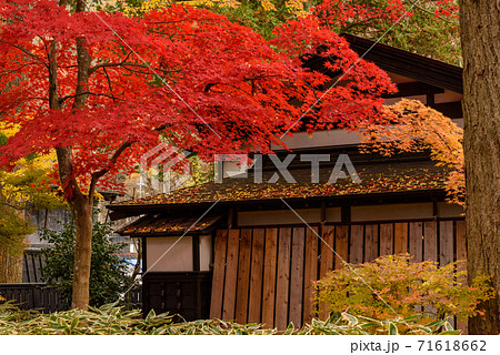 みちのくの小京都　角館武家屋敷の紅葉 71618662