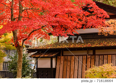 みちのくの小京都 角館武家屋敷の紅葉 みちのくの小京都 角館武家屋敷の紅葉 71618664