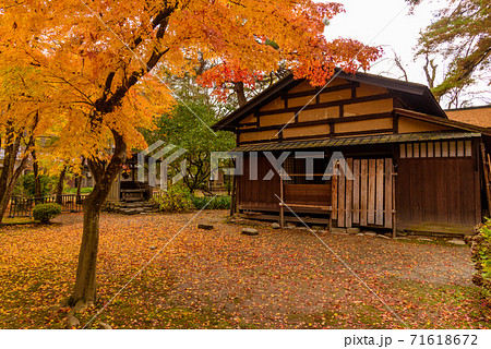 みちのくの小京都　角館武家屋敷の紅葉 71618672
