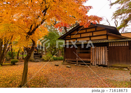 みちのくの小京都　角館武家屋敷の紅葉 71618673