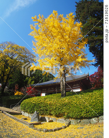 久安寺の紅葉 71619026