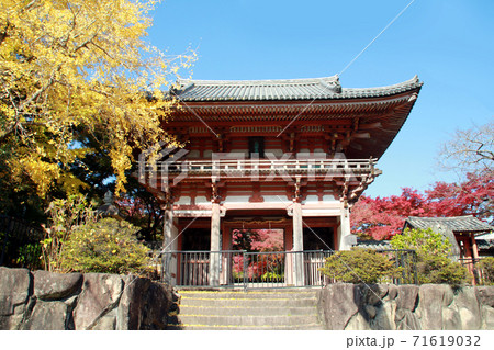 久安寺の紅葉 71619032
