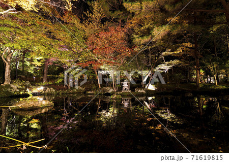 紅葉のライトアップ　天守閣自然公園　仙台市太白区 71619815