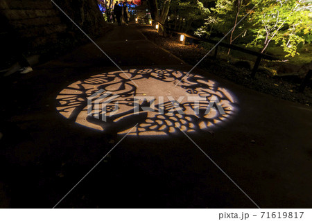 紅葉のライトアップ　天守閣自然公園　仙台市太白区 71619817