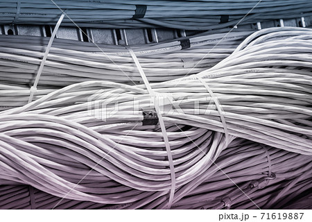 bunch of network cables in wave pattern leading across server ro 71619887