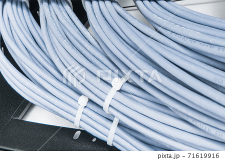 large group of UTP cables, Ethernet cables in rack cabinet, lead 71619916