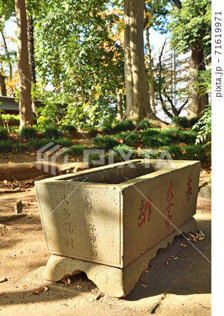 大谷場氷川神社・ 手水鉢 71619971