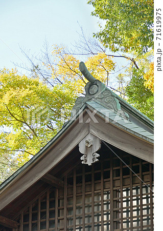 大谷場氷川神社・ 本殿 71619975