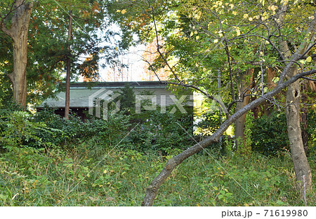 大谷場氷川神社・ 境内 71619980