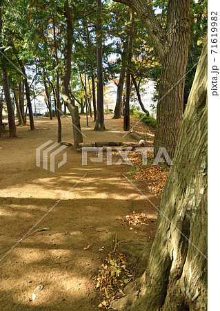 大谷場氷川神社・ 境内 71619982
