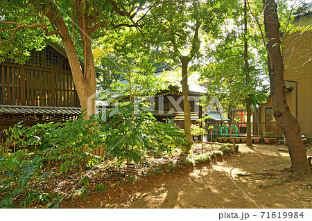 大谷場氷川神社・ 境内 71619984