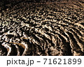 溶岩 71621899