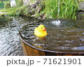 アヒルのおもちゃ 71621901