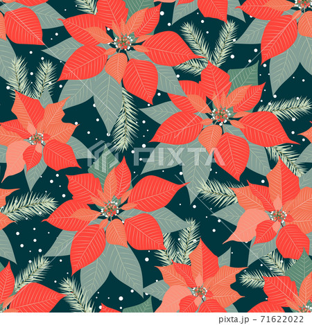 Christmas seamless pattern with poinsettia plant background, Winter pattern, wrapping paper, winter greetings, web page background, Christmas and New Year greeting cards Christmas seamless pattern with poinsettia plant background, Winter pattern, wrapping paper, winter greetings, web page background, Christmas and New Year greeting cards 71622022