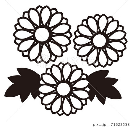 菊の花のシンプルなアイコン 白黒のイラスト素材