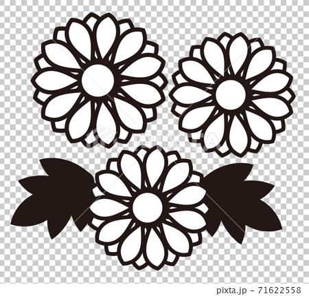 菊の花のシンプルなアイコン 白黒のイラスト素材 71622558 Pixta
