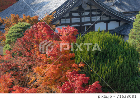 南禅寺 71623081