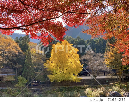 青梅 御岳渓谷 の紅葉の写真素材