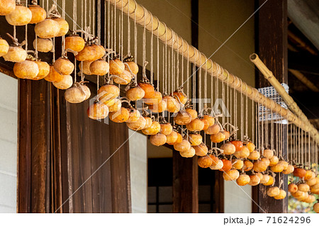 軒下の吊るされた干柿 71624296