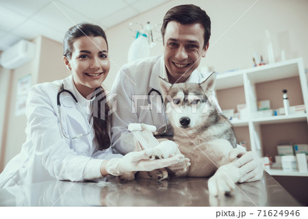 Man and woman veterinarian stand in the clinic. Man and woman veterinarian stand in the clinic. 71624946