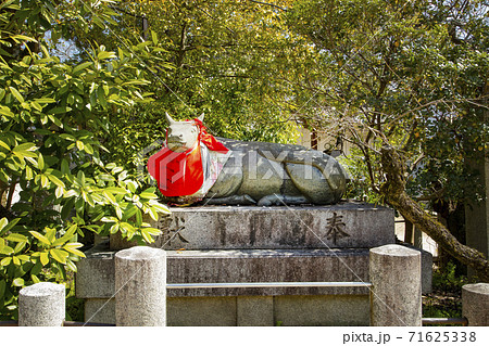 北野天満宮　牛舎　一願成就のお牛さん 71625338