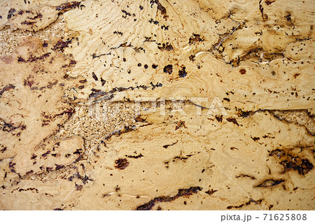 The texture of a cork tree. Empty yellow surface with cracks. Abstract background close-up. The texture of a cork tree. Empty yellow surface with cracks. Abstract background close-up. 71625808