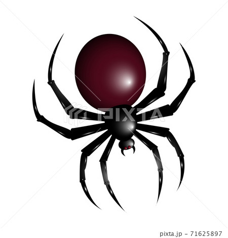 Halloween spider illustration. Spider isolated illustration. Halloween. Halloween spider illustration. Spider isolated illustration. Halloween. 71625897