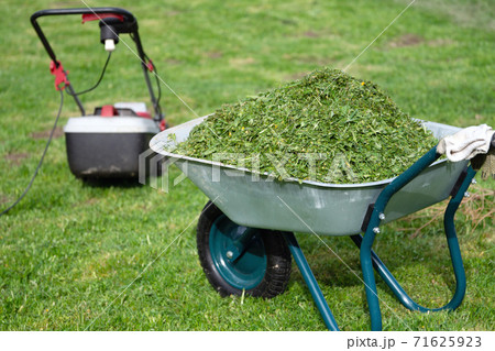 Wheelbarrow full of trimmed grass and a lawn mower standing on the mowed lawn 71625923