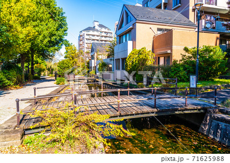 東京都　せせらぎ緑道　恵まれた住環境 71625988