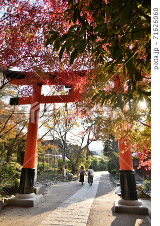 宇治上神社 鳥居 宇治上神社 鳥居 71626060
