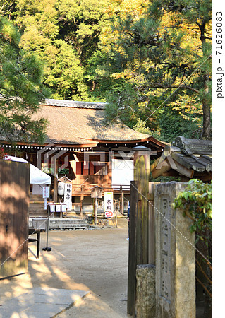 宇治上神社 拝殿 宇治上神社 拝殿 71626083