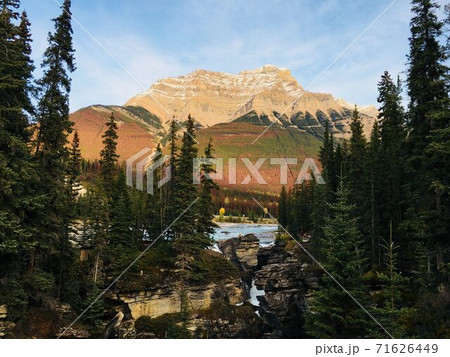 紅葉と渓谷 紅葉と渓谷 71626449