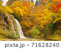 紅葉と滝 71628240