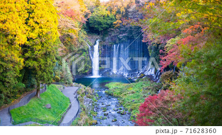 白糸の滝と紅葉を観る 71628360