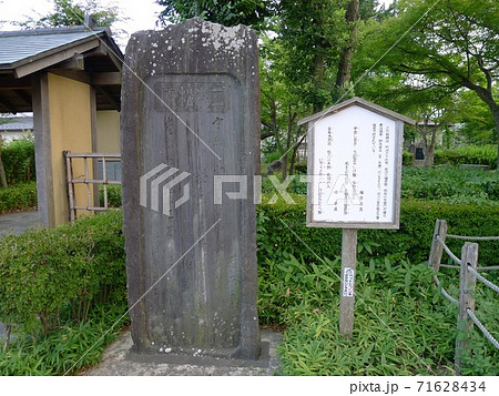 二木の松 71628434