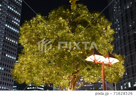 大阪光の饗宴2020 大阪光の饗宴2020 71628526
