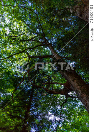 島根県飯石郡飯南町の赤穴八幡宮 71630401