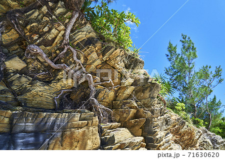 沖縄県名護市東海岸の地層 71630620