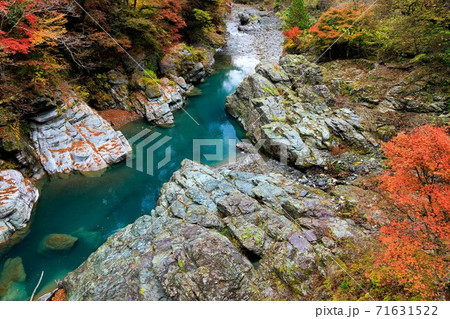 埼玉 三峰登竜峡の紅葉 埼玉 三峰登竜峡の紅葉 71631522