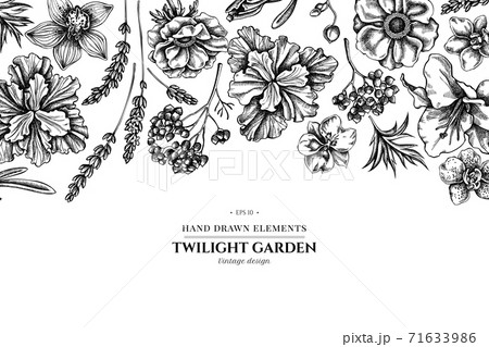 Floral design with black and white anemone, lavender, rosemary everlasting, phalaenopsis, lily, iris 71633986