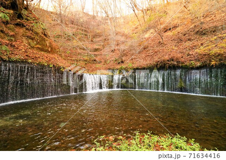 紅葉した落ち葉に囲まれる白糸の滝の写真素材