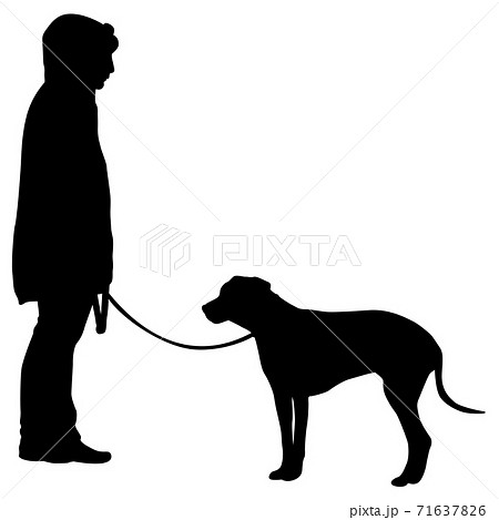 Doberman pinscher dog black silhouette on white background 71637826